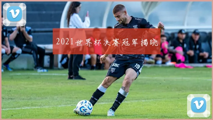 2021世界杯决赛冠军揭晓