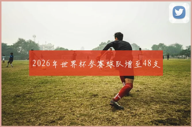 2026年世界杯参赛球队增至48支