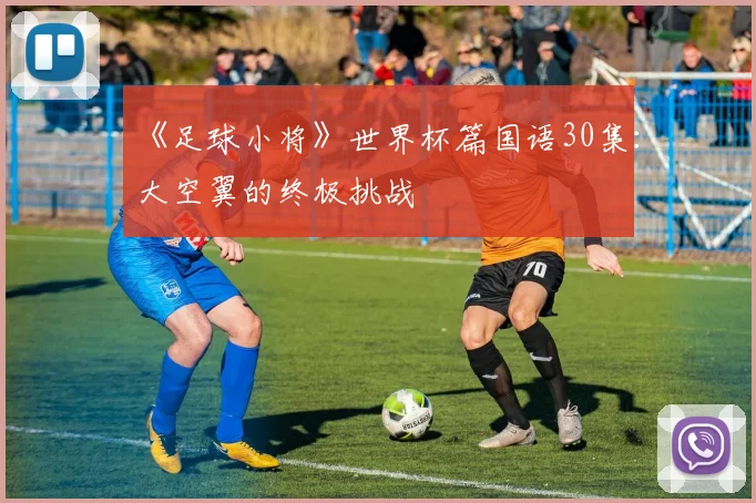 《足球小将》世界杯篇国语30集：大空翼的终极挑战