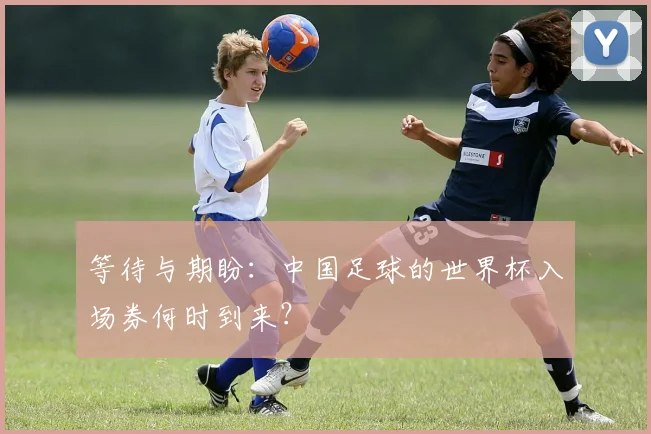 等待与期盼：中国足球的世界杯入场券何时到来？